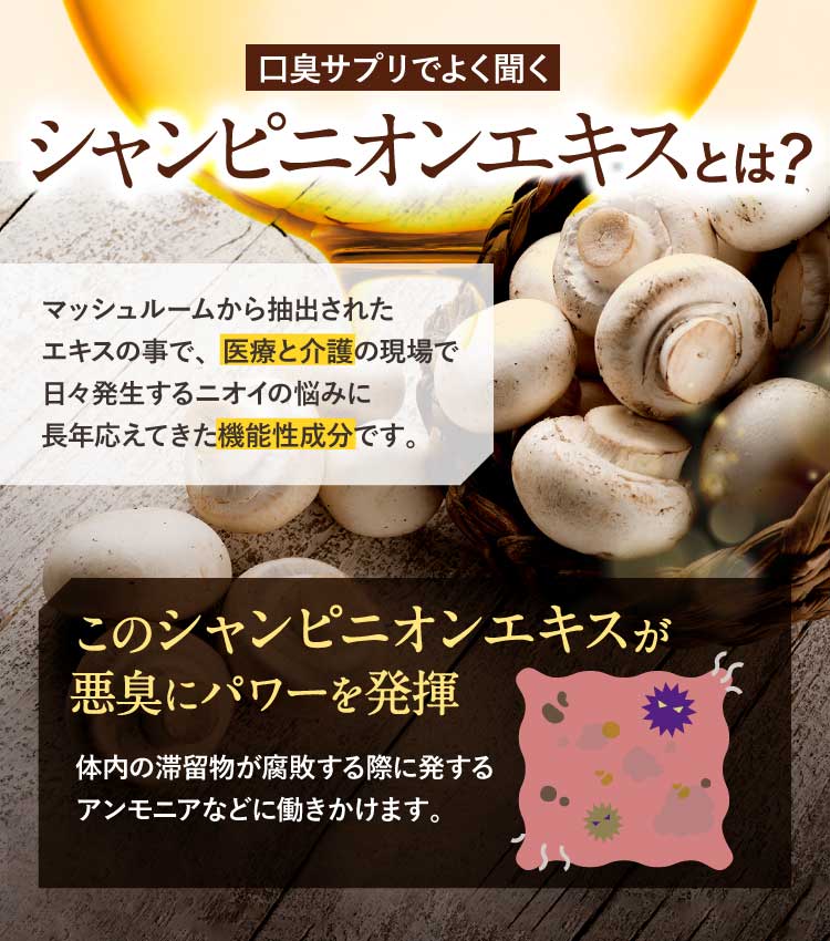 楽天市場 楽臭生活 お試し10日分 初回限定 レモンの香り マスキング効果 子供 子ども 口臭 1袋30粒 約10日分 健康食品の店グリーンハウス