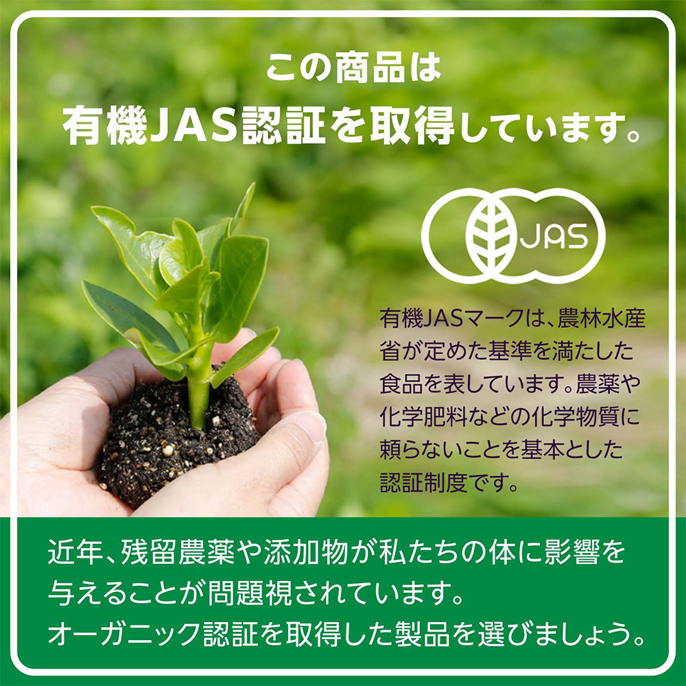 【先着300円OFFクーポンプレゼント】有機カルダモンパウダー 40g［ 送料無料 オーガニックスパイス 香辛料 スパイスの女王 チャイ 焼き菓子 カレー風味 ハーブティー 消化促進 パウダー状 ］