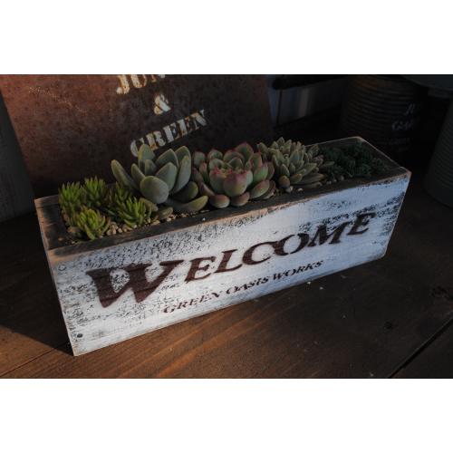 多肉植物寄せ植えjunkな木箱の多肉 L Wel Wh 当店オリジナル Educaps Com Br