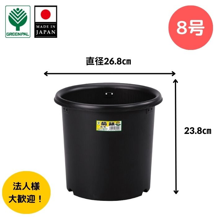 【楽天市場】【グリーンパル】菊鉢5号 菊鉢 5号 丈夫 プラスチック 菊 プランター 通気性 黒 菊鉢 植え 植木 鉢 専用 軽い 園芸 ガーデニング  家庭菜園 観葉植物 多肉 植物 アガベ サボテン コーデックス 肉厚【菊鉢 5号】 : グリーンパル 楽天市場店