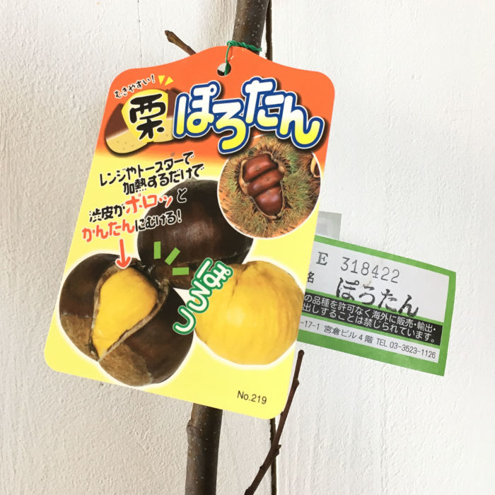 ぽろたん 750-NKR308.jpg?1