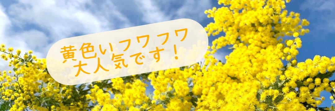 楽天市場】桜 苗木 河津桜 12cmロングポット苗 かわづざくら さくら 苗