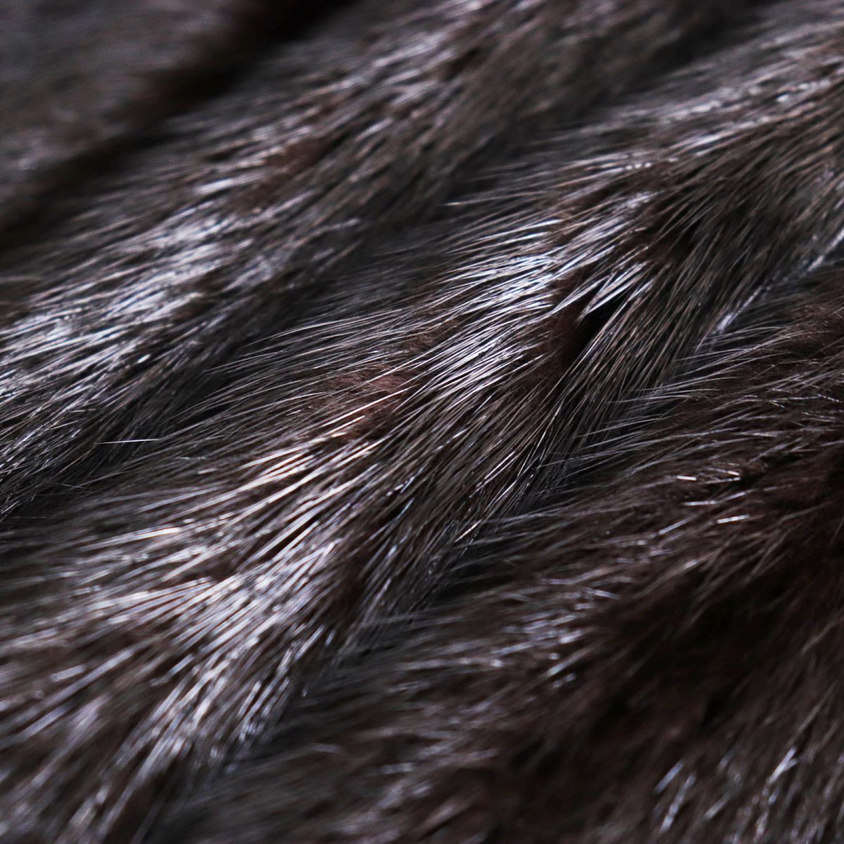【楽天市場】毛並み美品 SAGA MINK サガミンク 逆毛 本毛皮ショートコート ジャケット ダークブラウン（ブラックに近い） 11号 毛質