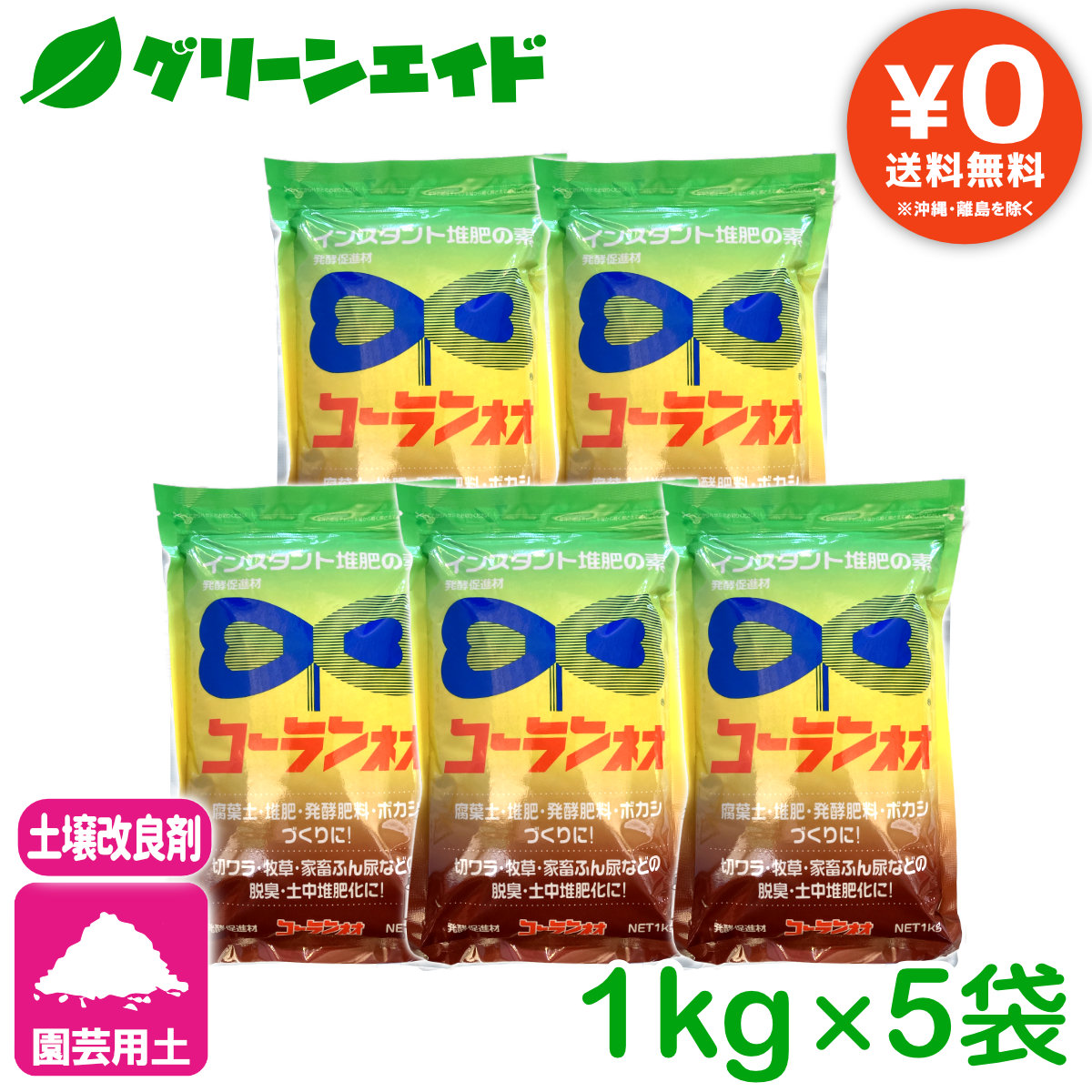 【goodtaniku】Dennis 051 発根済み　グッド鉢ごと発送 goodtaniku】Dennis 051 発根済み グッド鉢ごと発送 goodtaniku