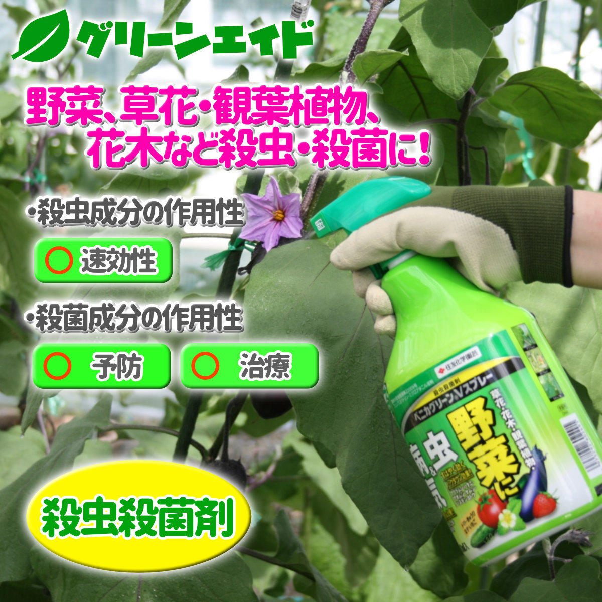 楽天市場 野菜 殺虫剤 殺菌剤 ベニカグリーンvスプレー 4ml 住友化学園芸 家庭菜園 園芸 アブラムシ うどんこ病 グリーンエイド