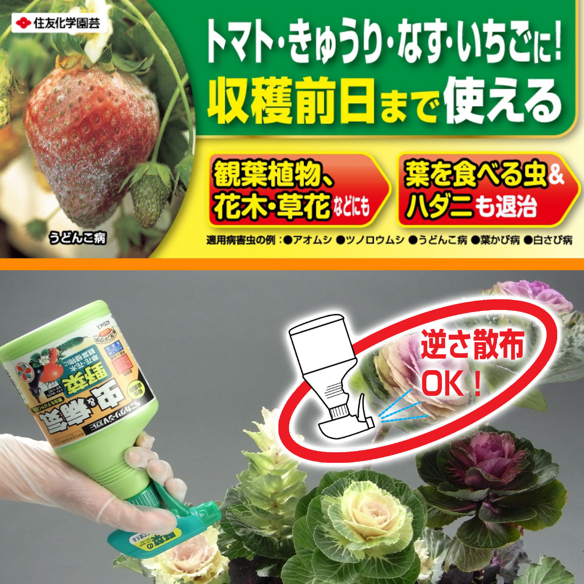 楽天市場 野菜 殺虫剤 殺菌剤 ベニカグリーンvスプレー 4ml 住友化学園芸 家庭菜園 園芸 アブラムシ うどんこ病 グリーンエイド