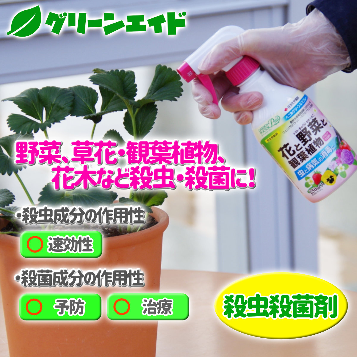 楽天市場 観葉植物 殺虫剤 ベニカグリーンvスプレー 250ml 住友化学園芸 殺菌剤 病気 虫 ガーデニング 園芸 ビギナー向け 初心者向け グリーンエイド