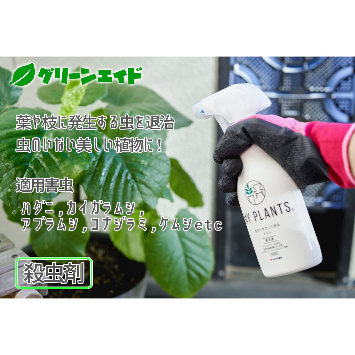 観葉植物 殺虫剤 250ml My Plants アブラムシ カイガラムシ ガーデニング ハダニ ビギナー向け 住友化学園芸 初心者向け 園芸 虫からやさしく守るミスト 最上の品質な My