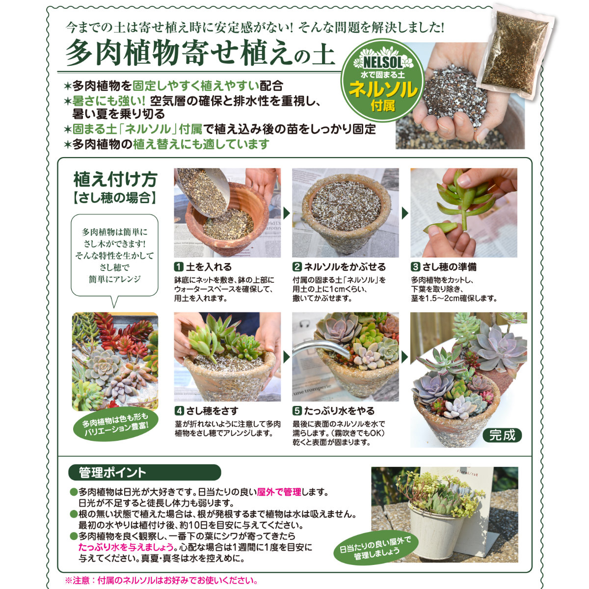 楽天市場 培養土 多肉植物寄せ植えの土 1 5l 花ごころ サボテン 園芸 ガーデニング ビギナー向け 初心者向け グリーンエイド