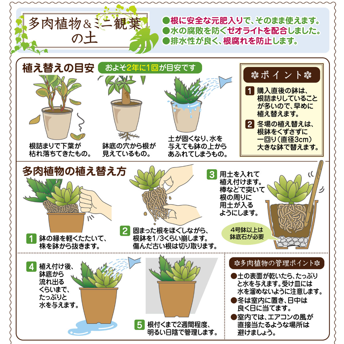 楽天市場 培養土 多肉植物 ミニ観葉の土 1l 花ごころ サボテン 園芸 ガーデニング ビギナー向け 初心者向け グリーンエイド