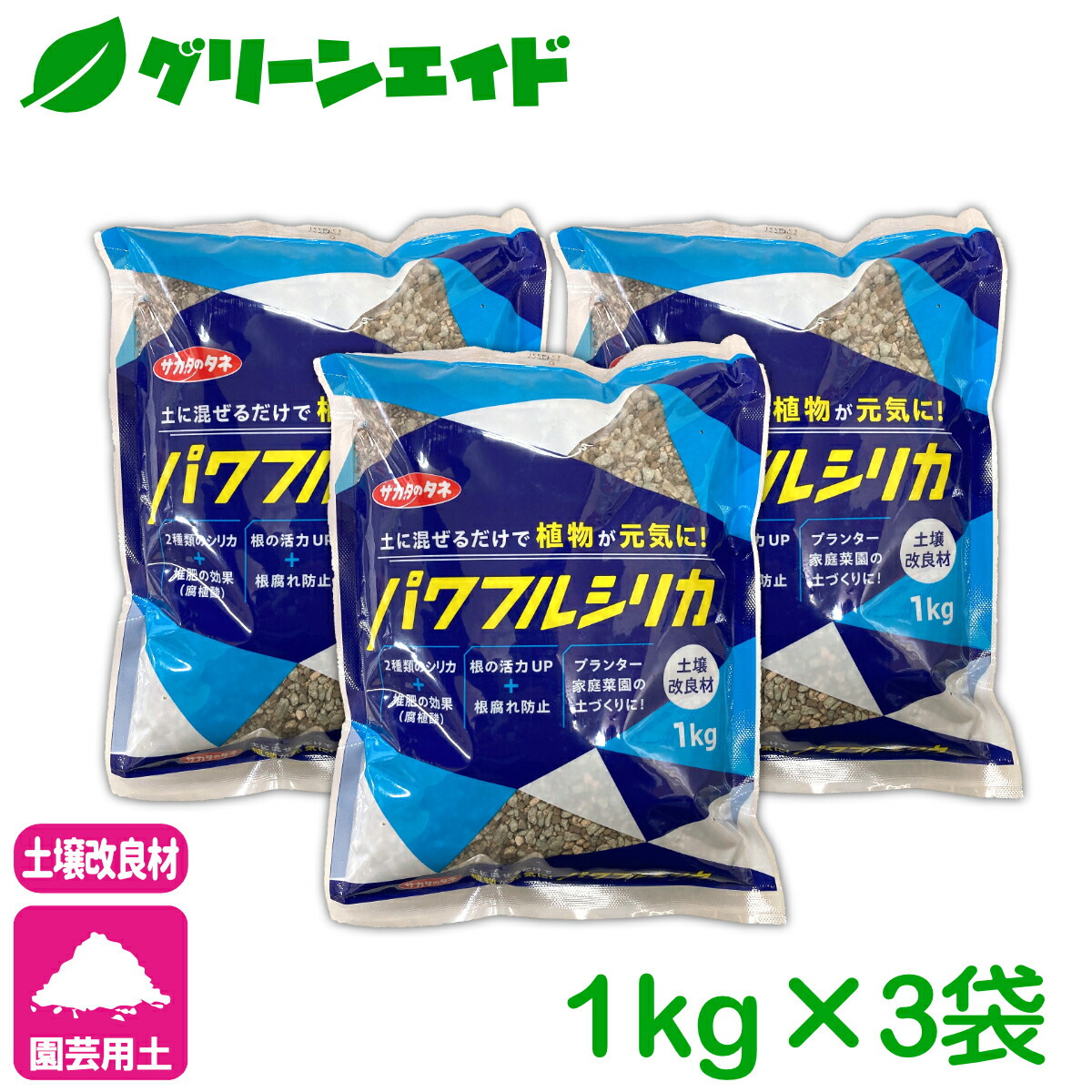 楽天市場】メキシケンシスザラゴーサ 【デラックス多肉】エケベリア属