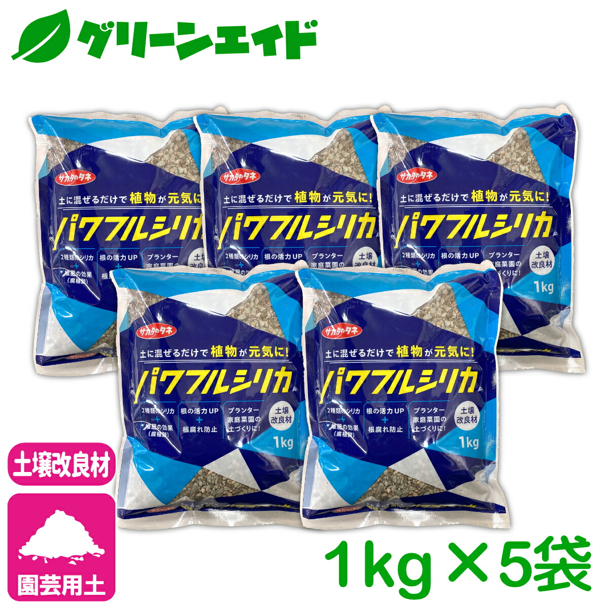 メクセンシスザラゴーサ 楽天市場】メキシケンシスザラゴーサ 【デラックス多肉】エケベリア属