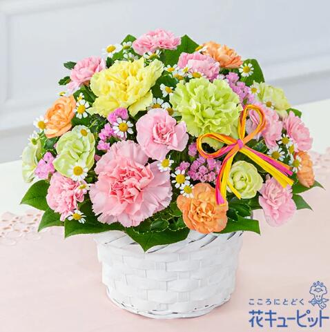 【カーネーションのミックスアレンジメント】（521357・母の日・アレンジメント）(全国の花キューピット加盟店がお届けします）
