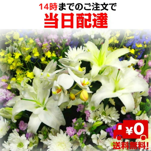 楽天市場】【送料無料】【お供え・お悔やみ】【花束・アレンジメント】(イーフローラ 又は 花キューピット でお届け）お供え/お悔やみ/枕花/花/即日/当日/法事/法要/お彼岸/お盆/新盆/初盆/御供/ペット/eflora/  : ぐりーん愛らんど （花屋）