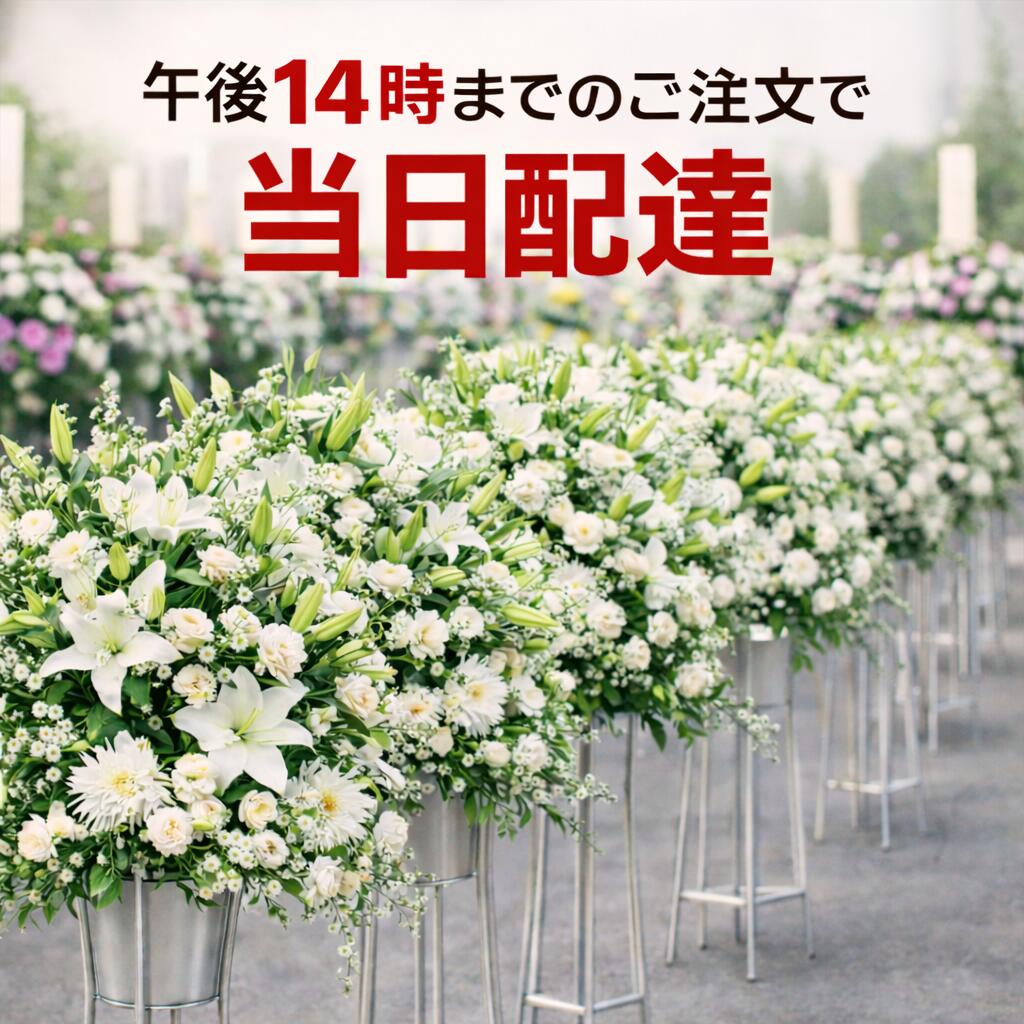 圧倒的人気 最短翌日お届け  【MUG2G9WGKGS】 限定デザイン