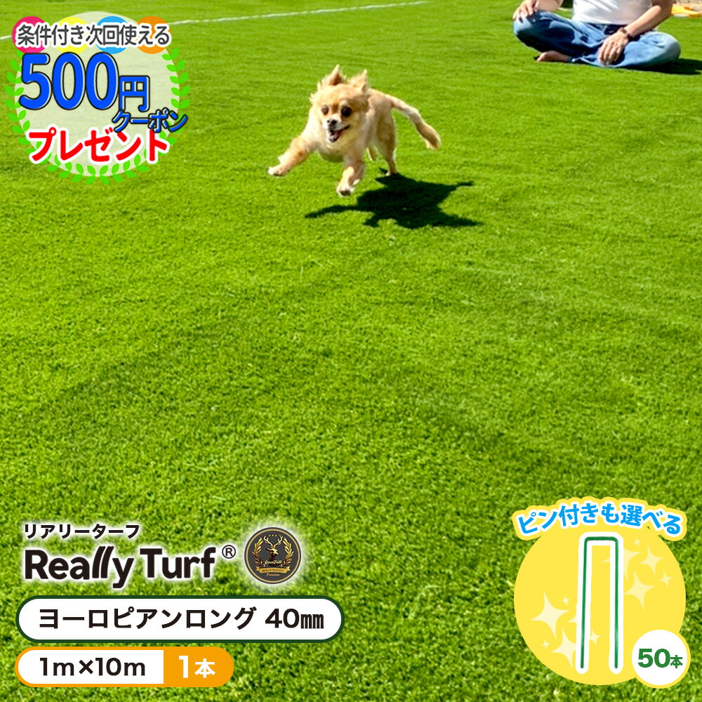 楽天市場】[楽天1位受賞] クーポン付☆個人配送可 ザバーン