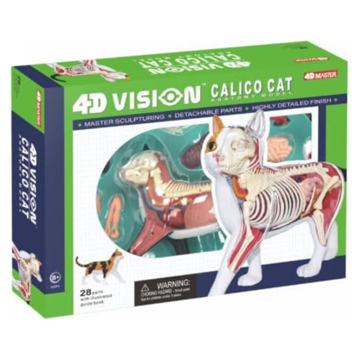 4D Vision 猫 解剖 模型 28パーツ 分解組立式 約29cm アナトミーモデル 三毛猫 骨格 内臓 透明ケース付 学習模型 知育 STEM 教育用 インテリア 4D Vision Calico Cat Anatomy Model【エクスプレス便】