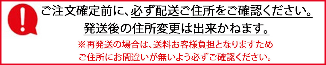 楽天市場】【ブラックフライデーSale☆値下げ中】【エクスプレス便