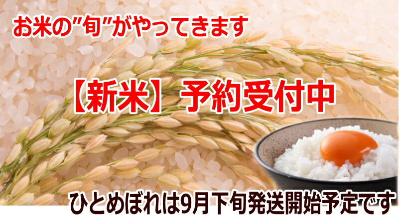 のものを】 ひとめぼれ白米27kg×1袋小分けできます！宮城県産宮城県WEB物産展：北国産直shop そのものの - shineray.com.br