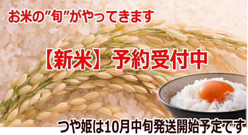 １着でも送料無料】 宮城県産 令和4年産 つや姫 玄米30kg×1袋小分けできます 宮城県WEB物産展令和4年度 玄米 30キロ ポイント10倍  fucoa.cl