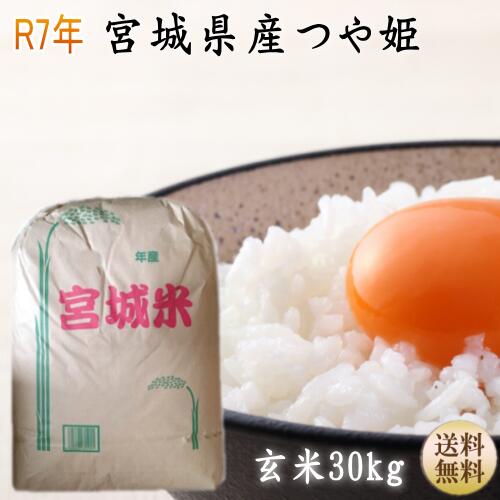 楽天市場】【令和7年宮城米】 つや姫 ギフト 玄米30kg×1袋 小分けでき