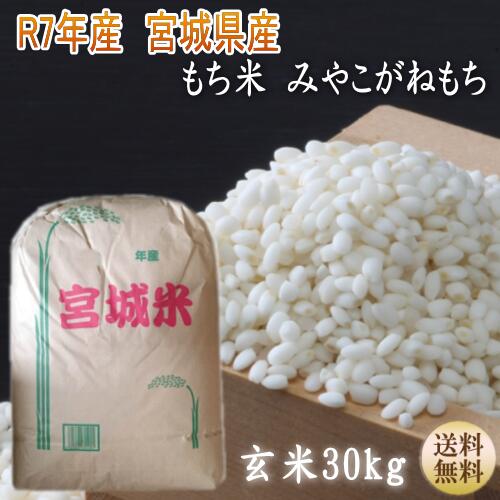 静岡県産もち米玄米20キロ(精米可) 楽天市場】新米 近江米 令和7年 玄米 30kg 滋賀県産 きぬむすめ 送料