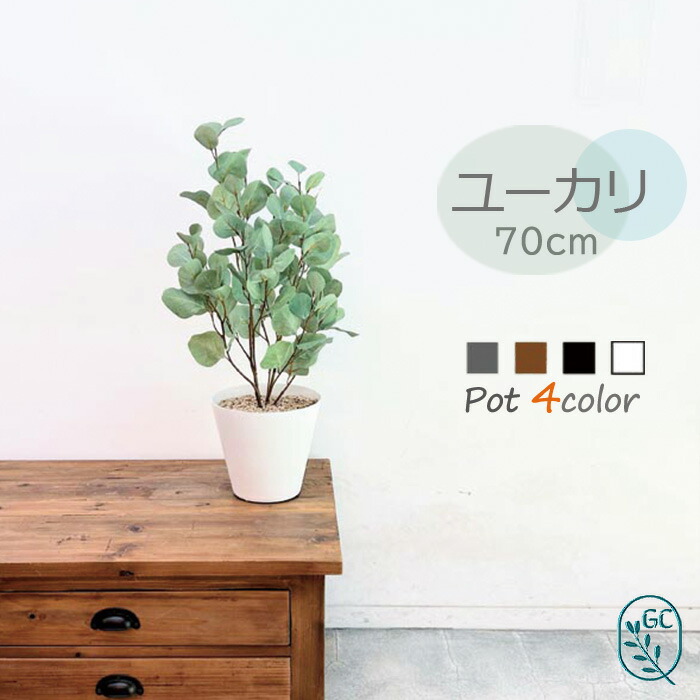 楽天市場】クッカバラ 高さ 70cm フェイクグリーン 大型 観葉植物