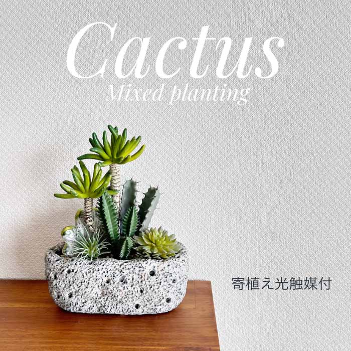 専用＊エアプランツ＆グリーン　 フェイクコ苔玉 専用＊エアプランツ＆グリーン フェイクコ苔玉 専用＊エア