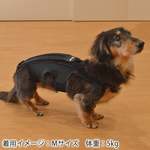 ホロノアサポーター S
