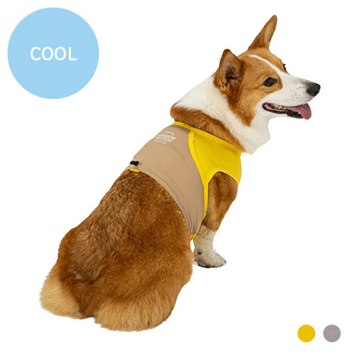 【楽天市場】【マンダリンブラザーズ】COOLING VEST クーリングベスト【数量限定】 XL【15時までの注文で当日発送 正規品 ウエア