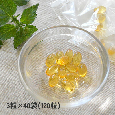 プライムケイズ オメガ3フィッシュオイル EPA+DHA