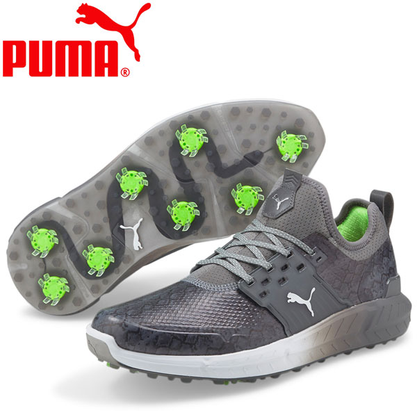 楽天市場】【希少!メンズ ゴルフシューズ】 PUMA (プーマ) IGNITE