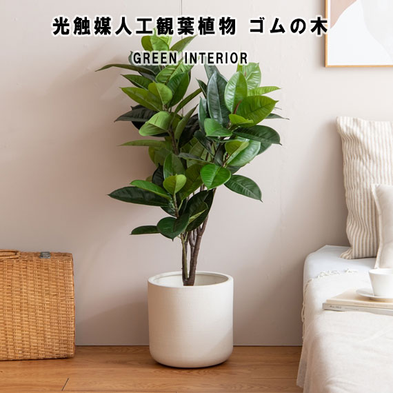Nature ナチュレ Nature 光触媒人工観葉植物 ゴムの木