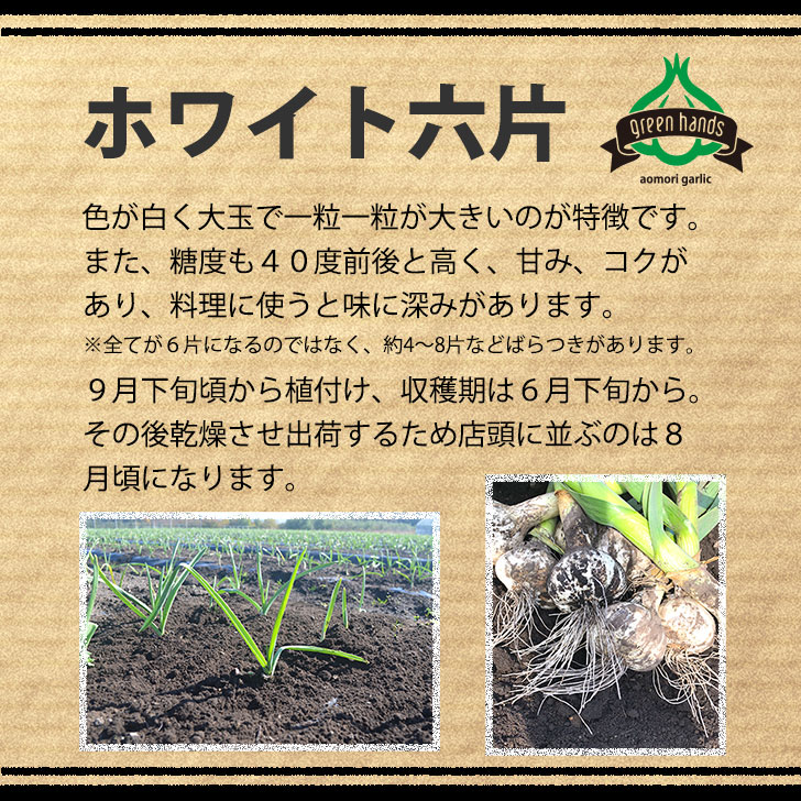 にんにくバラ500g青森県産バラニンニク送料無料ホワイト六片