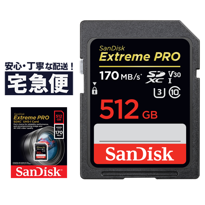 Ssd sandisk pro. SANDISK extreme Pro SDXC 128gb. SANDISK SD 64gb extreme Pro. SANDISK 256gb extreme Pro UHS-I u3 SDXC. SANDISK 64gb extreme Pro UHS-I u3 v30.