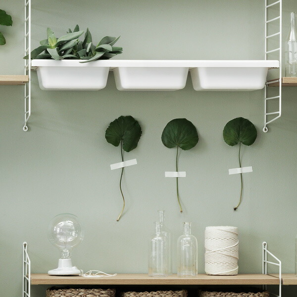 【日本代わりになる店】String スウェーデン王国製 Bowl Shelf | ボウルシェルフ 御盆 飾りつけ納める 納める 納める調度品 北欧 北欧調度品 北欧室内装飾 納めるボックス席