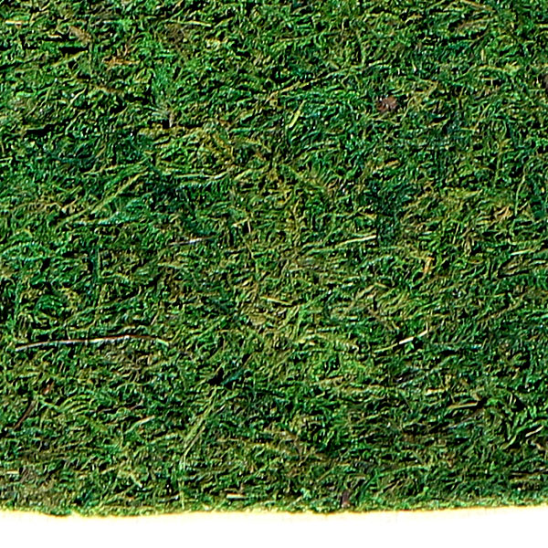 楽天市場 天然素材 モスマット 口90cm 2枚セット 苔 コケ こけ 人工芝 苔シート マット 造花 リーフ グリーン材 フラワーアレンジメント ディスプレイ 装飾 グリーンランド 楽天市場 天然素材 モスマット 口90cm 2枚セット 苔 コケ こけ 人工芝 苔シート マット 造花 リーフ グリーン材 フラワーアレンジメント ディスプレイ 装飾 グリーンランド