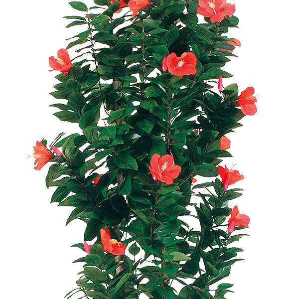 送料無料でお届けします 人工観葉植物 全高1 8m ハイビスカス トリプル 三本立 ケンガイ鉢 ブッソウゲ 仏桑華 人工樹木 造花 花材 インテリアグリーン フェイクグリーン オブジェ ディスプレイ 装飾 Sociedad Com Ar