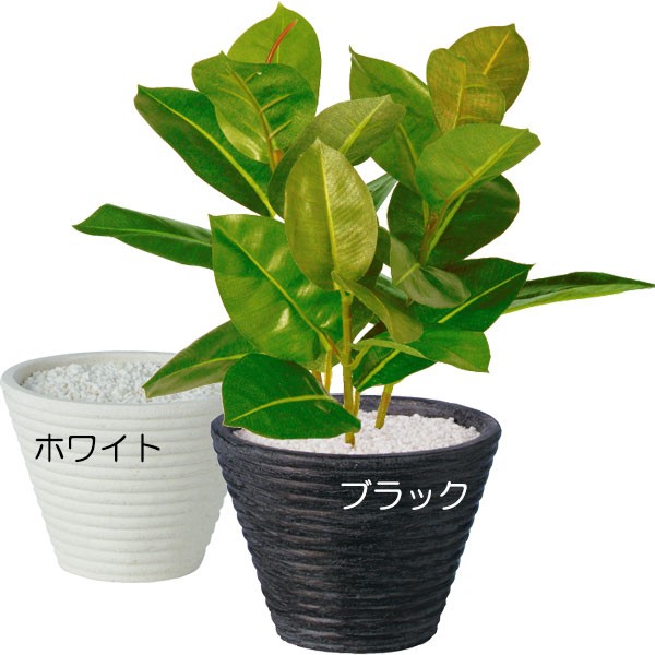 楽天市場 人工観葉植物 全高34cm 鉢付き ゴムノキ インドゴムノキ ゴムの木 フィカス エラスティカ 人工樹木 造花 花材 リーフ 葉材 フェイクグリーン インテリアグリーン オブジェ ディスプレイ 装飾 グリーンランド