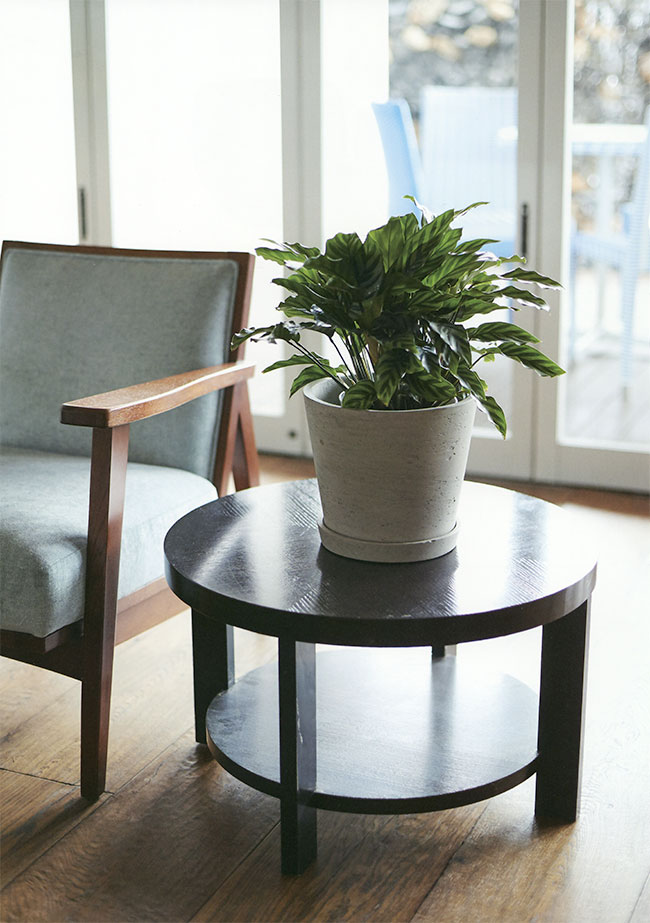 フラワーポット カッセル コニック L11号数 全高27cm 口径32cm 繊維セメント製 底部疵あり プランター ポット 観葉鉢 園芸 寄せ植え ガーデニング Kassel Doorswindowsstairs Co Uk