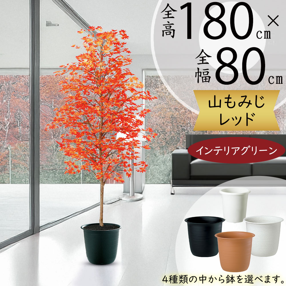 金魚アート 紅葉 もみじ 置物 インテリア プリザーブドフラワー グリーン 緑 99011tk-z1new.jpg