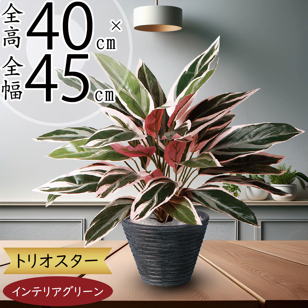 クーポン券