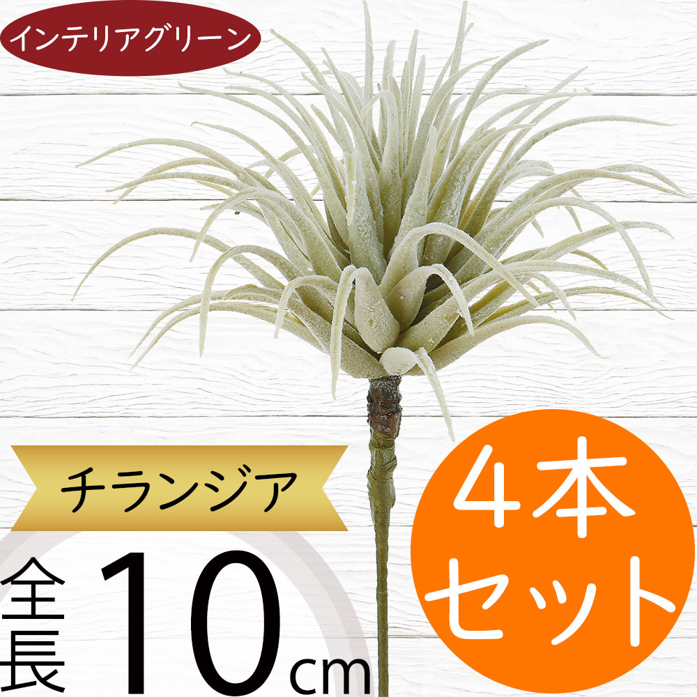 楽天市場】エアプランツ キセログラフィカ Φ38cm 造花