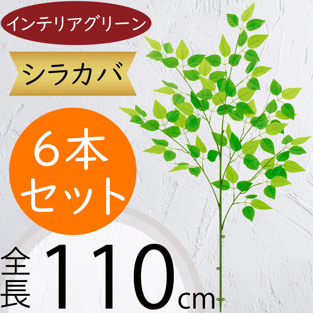 引き換え証