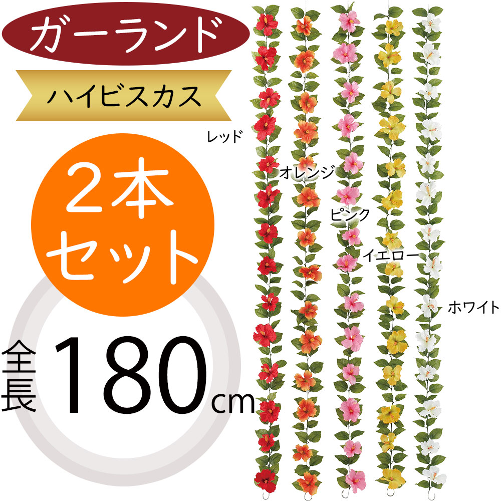 ハイビスカス様 楽天市場】【ハイビスカス】レインボー（5寸鉢植え） 苗 苗木