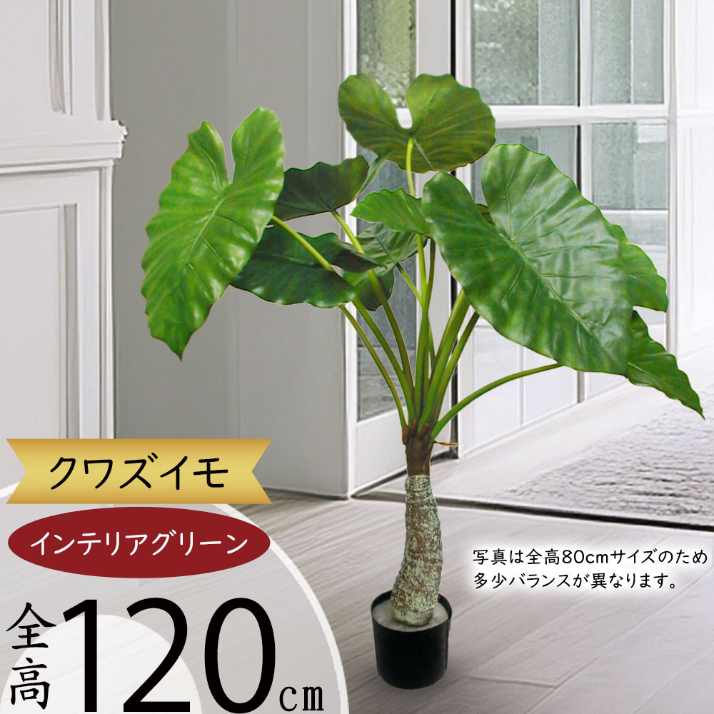 楽天市場】クワズイモ フェイクグリーン 人気 おしゃれ インテリア