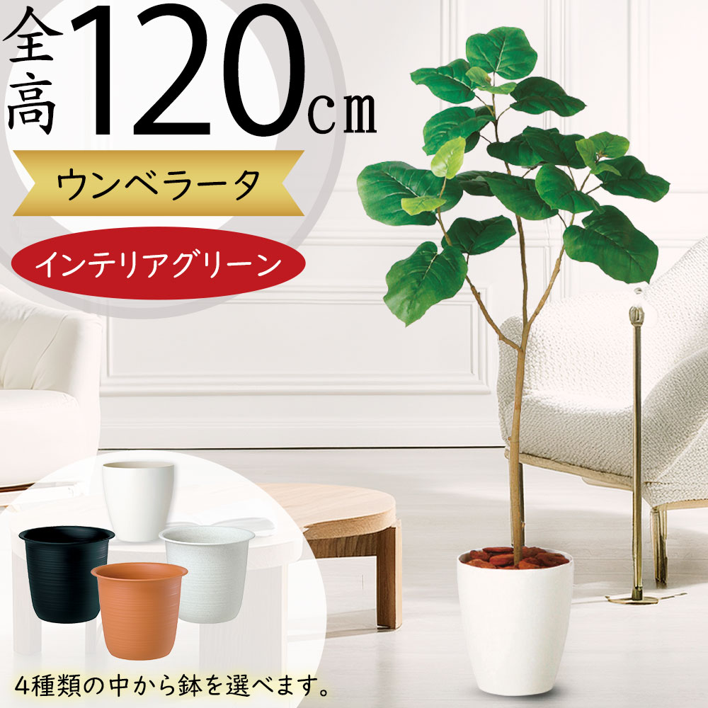 楽天市場】ウンベラータ フェイクグリーン おしゃれ 観葉植物 リアル