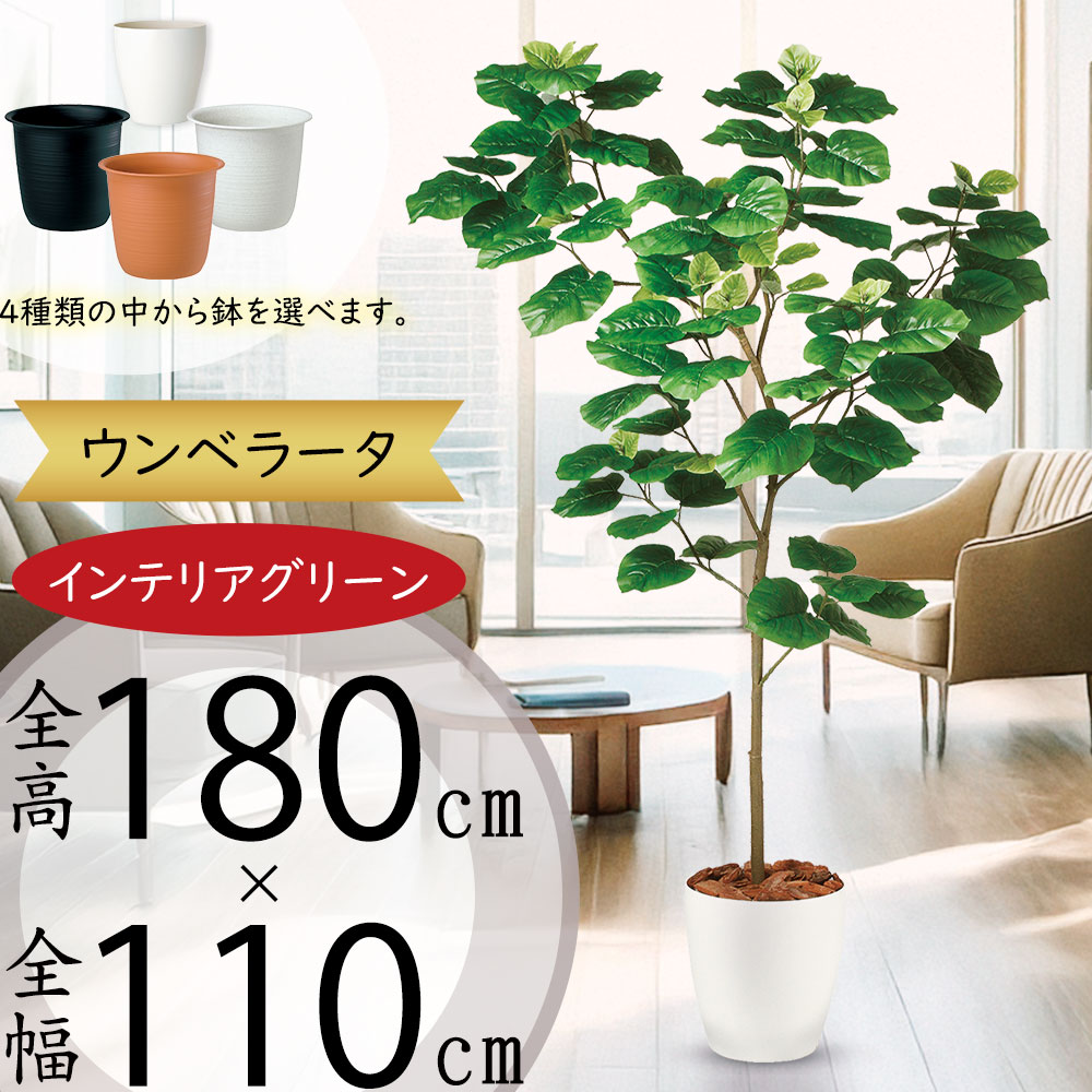 楽天市場】ウンベラータ フェイクグリーン 大型 おしゃれ 観葉植物
