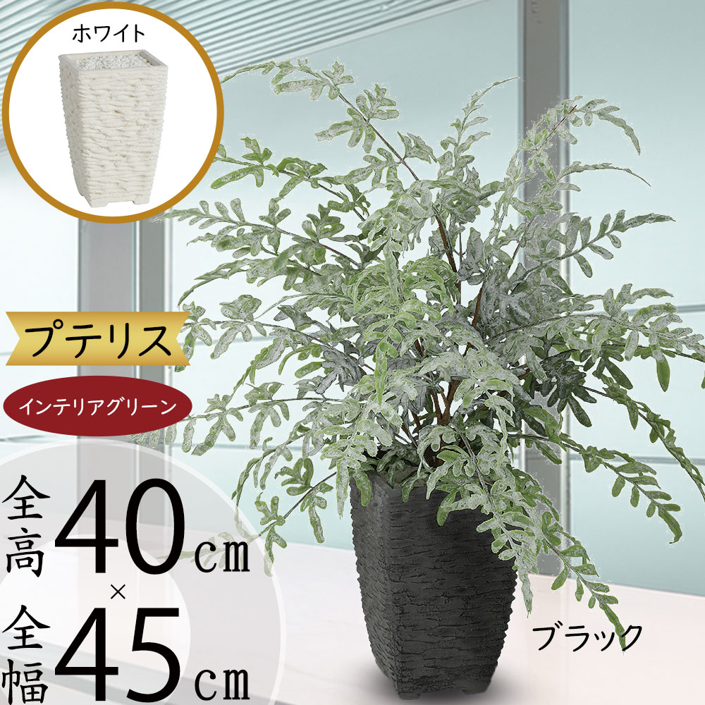 引き換え証