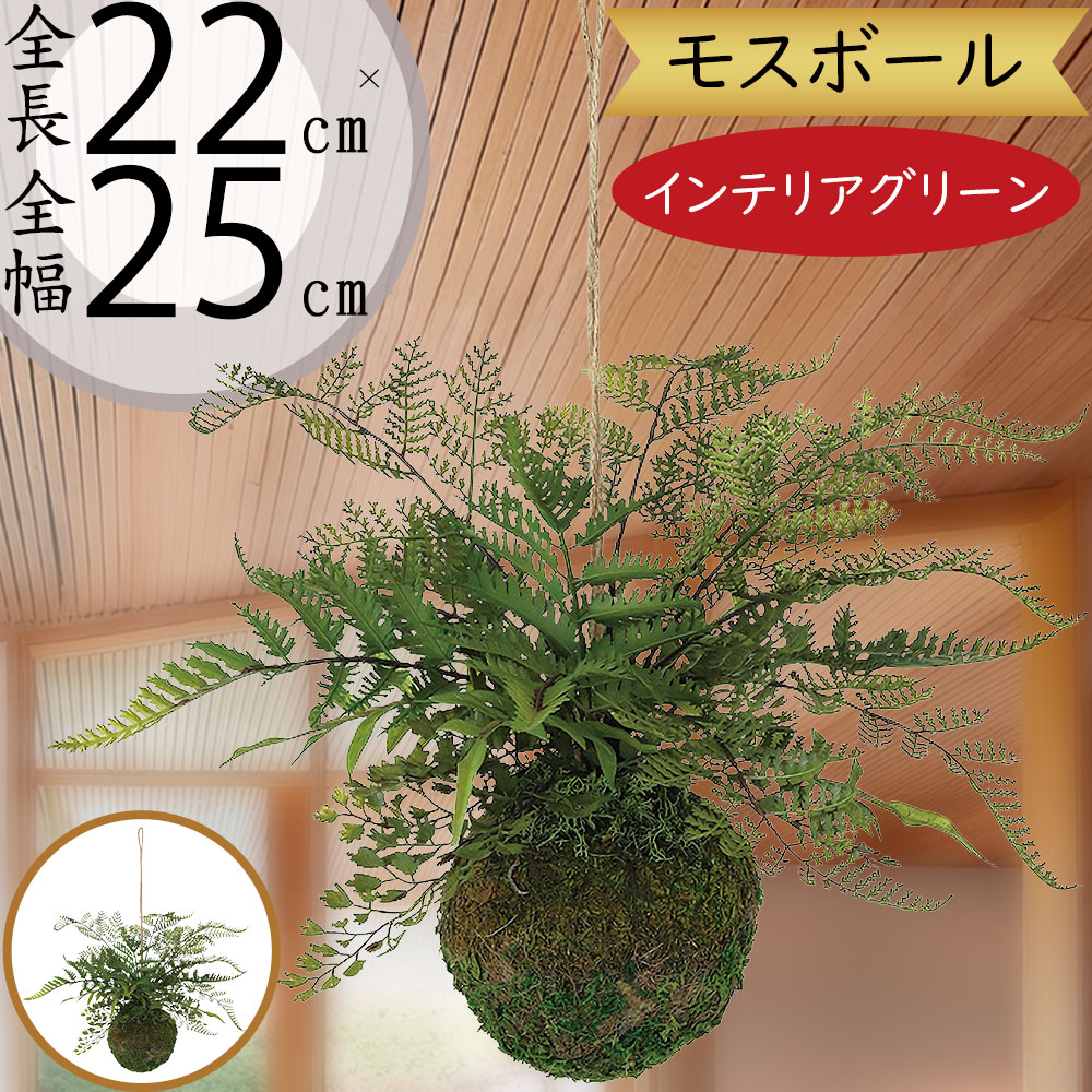 楽天市場】＼風鈴付き／「つりしのぶ」（吊りしのぶ 吊りさげ つりさげ